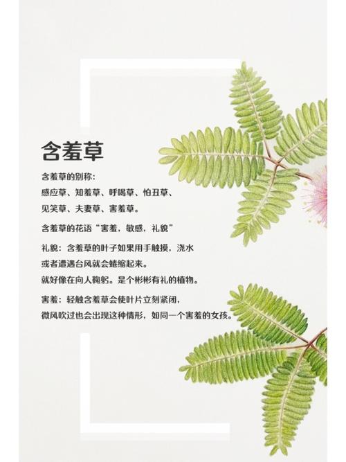 4480青苹果影院《将夜》高清全集在线观看：宁缺逆天改命之路，经典玄幻剧推荐