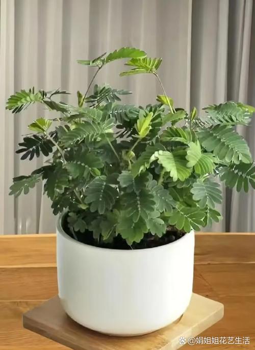狼客影院在线观看 - 最新高清电影免费追剧推荐，热门影视资源抢先看