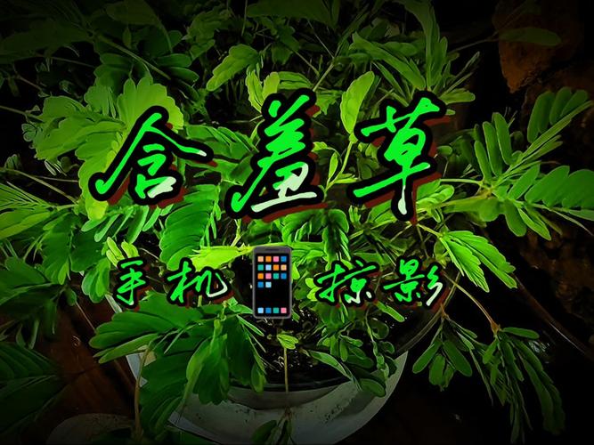 欧美绿岛电影院欧美AV高清在线观看 | 绿岛影院无删减资源 | 最新欧美大片免费播放