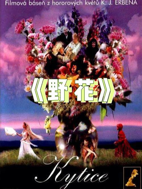 手机光棍影院yy111111在线观看入口，免费追剧神器，海量资源高清不卡顿