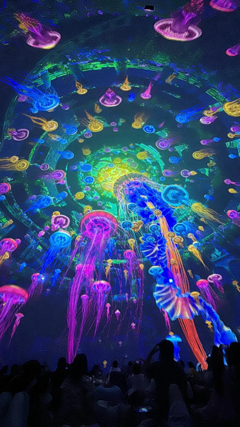 老湿影院48x看 | 免费高清影视资源在线播放 | 最新热门电影电视剧合集