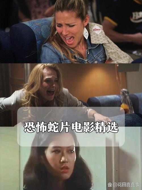 狼群影院资源网 - 最新高清电影免费在线观看，热门大片无广告极速播放