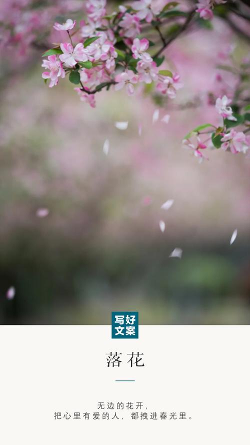 宜昌天河影院 | 今日影讯、最新排片表及特惠购票指南