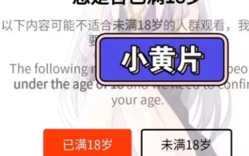 性感欧美少妇诱惑图集，迷人魅力与时尚穿搭的视觉盛宴