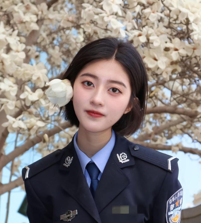 在线电影院的相关介绍